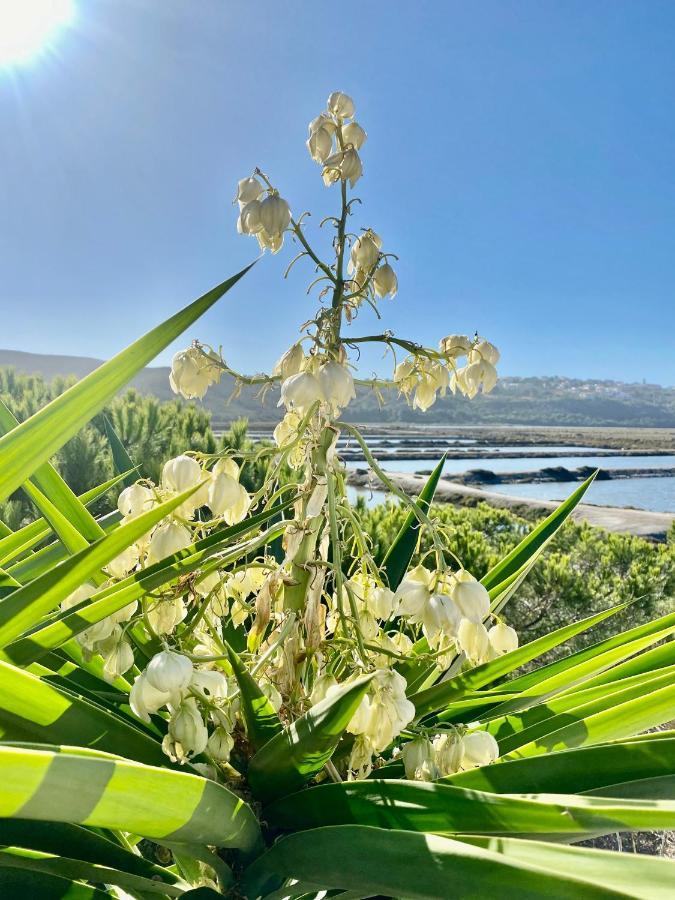 Herdade D' Amoreira Aljezur Extérieur photo